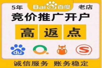 百度推广在电商行业的应用案例分析